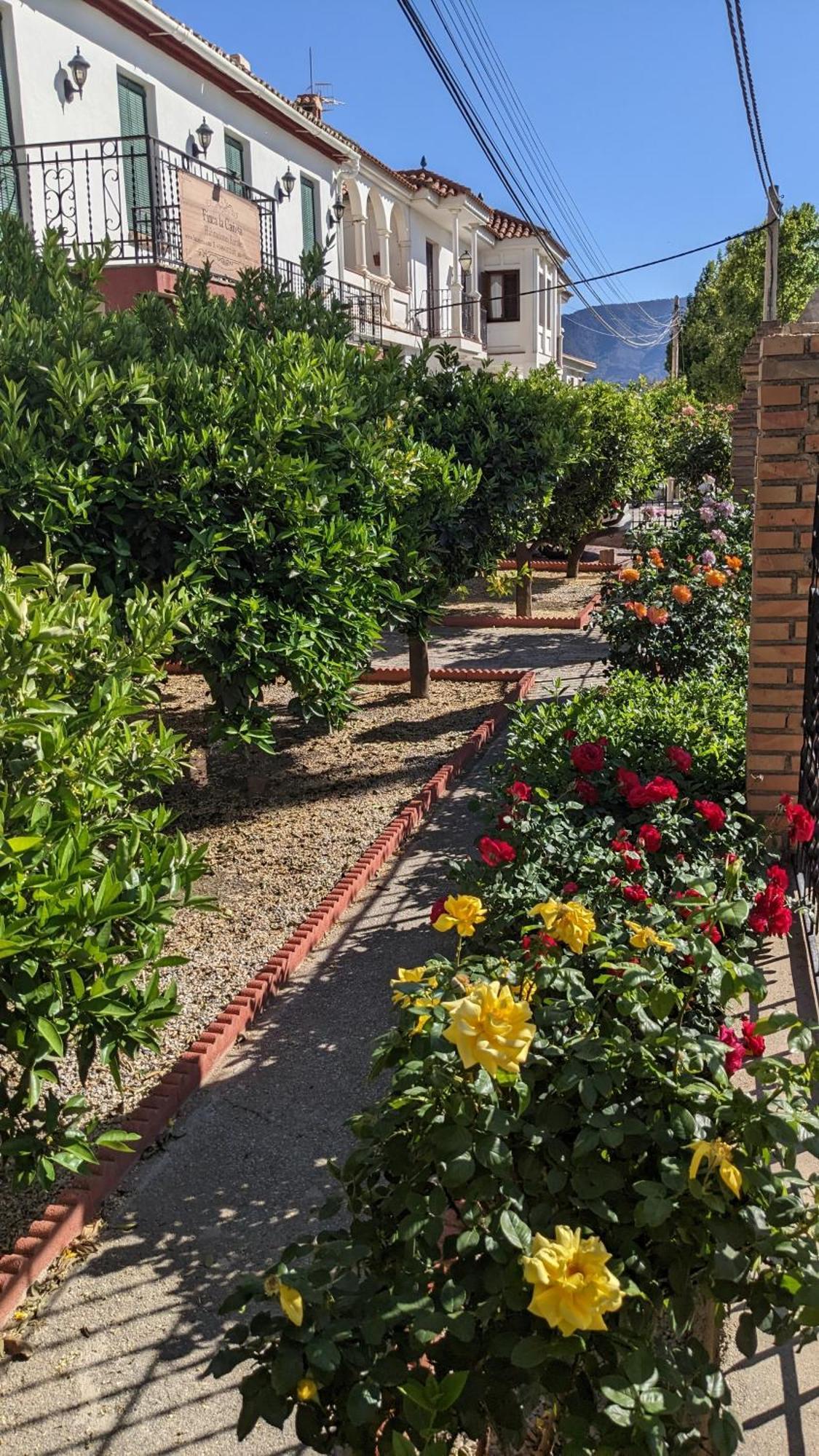 La Canota 2-Floors King Rooms Adults Only Talara Bagian luar foto